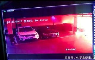 特斯拉最新款爆料视频,颠覆未来的电动革命前瞻