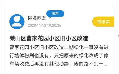烟台爆料最新消息网站,最新动态盘点，热点事件一网打尽