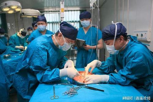 最新爆料器官移植,器官移植新突破引领再生医学新篇章 第2张 最新爆料器官移植,器官移植新突破引领再生医学新篇章 第2张