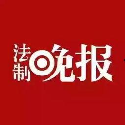 新闻爆料小视频,事件真相曝光