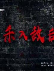 杀入敌后在线观看,烽火连天,英雄逆行 第2张 杀入敌后在线观看,烽火连天,英雄逆行 第2张