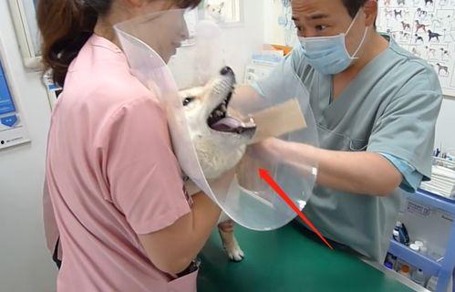网友爆料医生打针视频,医生操作失误，针头打错部位引发争议  第3张