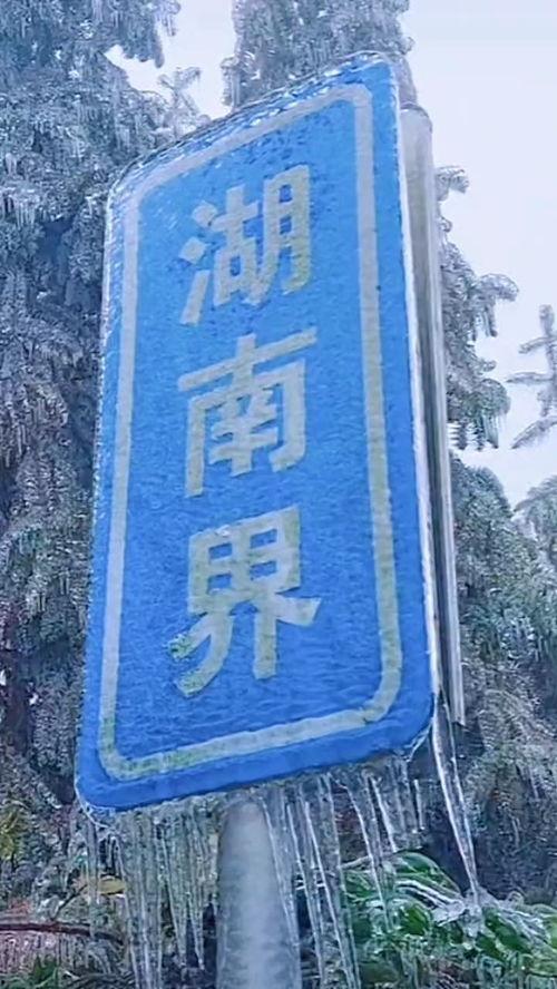 广东社会新闻爆料,揭秘近期热点事件背后的真相 第3张 广东社会新闻爆料,揭秘近期热点事件背后的真相 第3张