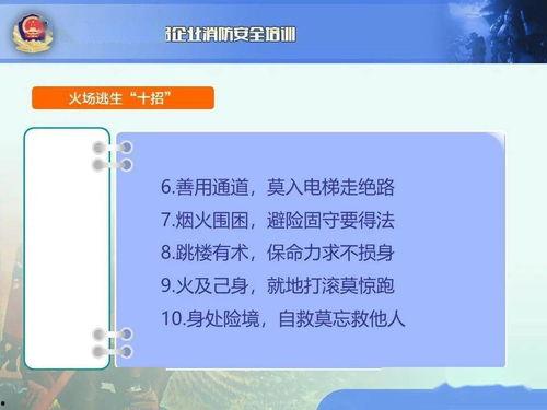 最新平安爆料视频下载,最新动态一网打尽