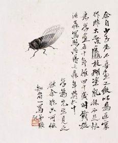 蝉翼 在线观看,探寻自然之美，在线感受生命奇迹