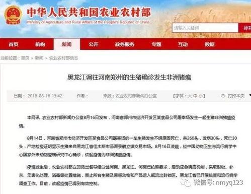 八村最新爆料消息新闻报道,揭秘幕后真相，独家报道引热议”